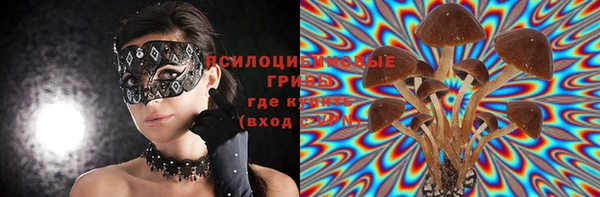 первитин Алексеевка