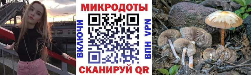 Галлюциногенные грибы Magic Shrooms где продают Бабушкин